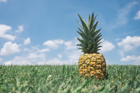 ananas gras zomer fruit 04 08 2015 Pineapple (LovePik).jpg