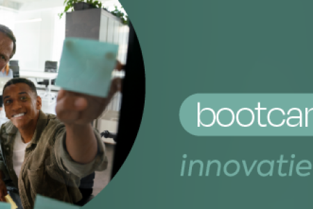 Innovatieve arbeidsorganisatie.png