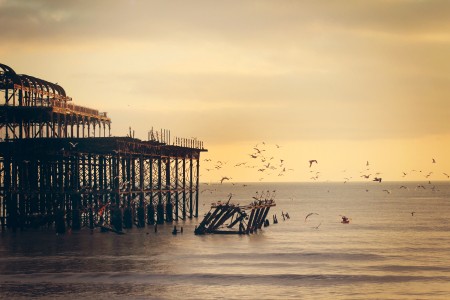 vogels pier zee zonsondergang 19 03 2014 Victoria Alexander Unsplash.jpg